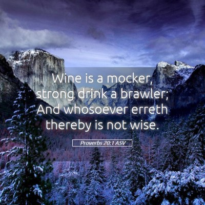 Picture 05 - Proverbs 20:1 ASV - Wine is a mocker, strong drink a brawler; And - Bible Verse Picture