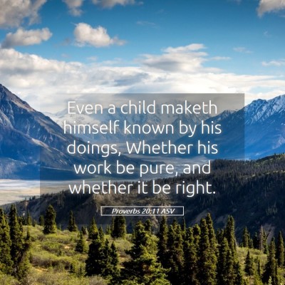 Picture 05 - Proverbs 20:11 ASV - Even a child maketh himself known by his doings, - Bible Verse Picture