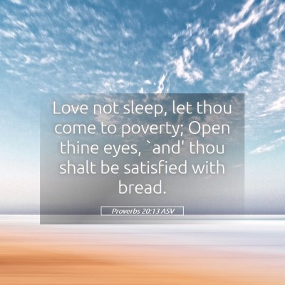 Picture 05 - Proverbs 20:13 ASV - Love not sleep, let thou come to poverty; Open - Bible Verse Picture