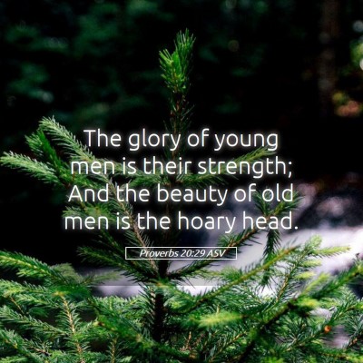 Picture 05 - Proverbs 20:29 ASV - The glory of young men is their strength; And the - Bible Verse Picture