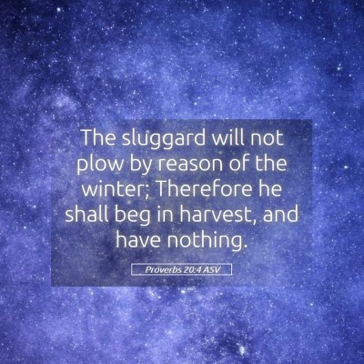 Picture 05 - Proverbs 20:4 ASV - The sluggard will not plow by reason of the - Bible Verse Picture