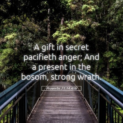 Picture 05 - Proverbs 21:14 ASV - A gift in secret pacifieth anger; And a present - Bible Verse Picture