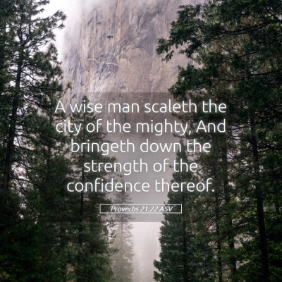 Picture 05 - Proverbs 21:22 ASV - A wise man scaleth the city of the mighty, And - Bible Verse Picture