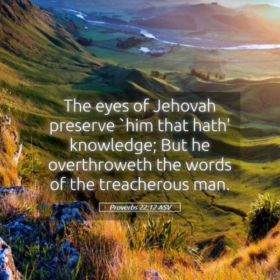 Picture 05 - Proverbs 22:12 ASV - The eyes of Jehovah preserve `him that hath' - Bible Verse Picture