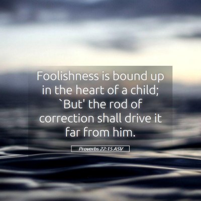 Picture 05 - Proverbs 22:15 ASV - Foolishness is bound up in the heart of a child; - Bible Verse Picture