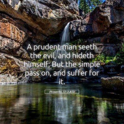 Picture 05 - Proverbs 22:3 ASV - A prudent man seeth the evil, and hideth himself; - Bible Verse Picture