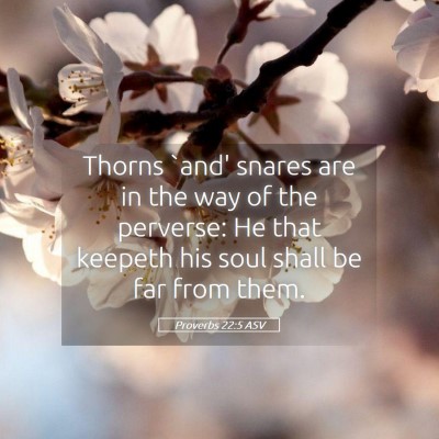 Picture 05 - Proverbs 22:5 ASV - Thorns `and' snares are in the way of the - Bible Verse Picture