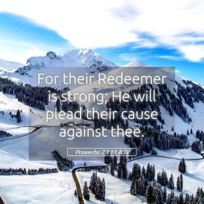 Picture 05 - Proverbs 23:11 ASV - For their Redeemer is strong; He will plead their - Bible Verse Picture