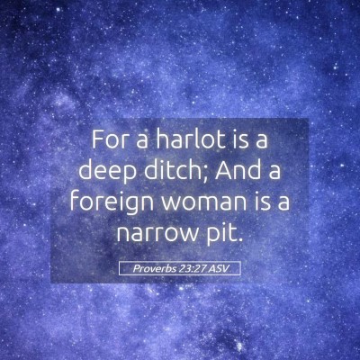 Picture 05 - Proverbs 23:27 ASV - For a harlot is a deep ditch; And a foreign woman - Bible Verse Picture