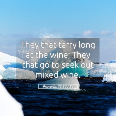 Picture 05 - Proverbs 23:30 ASV - They that tarry long at the wine; They that go to - Bible Verse Picture