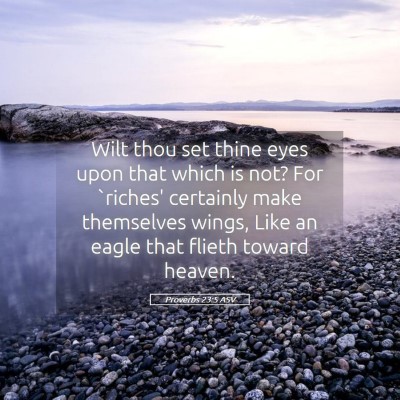 Picture 05 - Proverbs 23:5 ASV - Wilt thou set thine eyes upon that which is not? - Bible Verse Picture