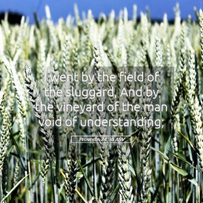 Picture 05 - Proverbs 24:30 ASV - I went by the field of the sluggard, And by the - Bible Verse Picture