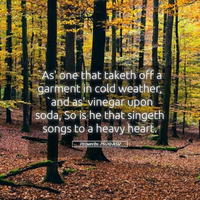 Picture 05 - Proverbs 25:20 ASV - `As' one that taketh off a garment in cold - Bible Verse Picture