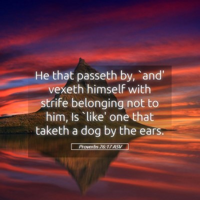 Picture 05 - Proverbs 26:17 ASV - He that passeth by, `and' vexeth himself with - Bible Verse Picture