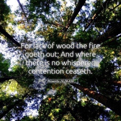 Picture 05 - Proverbs 26:20 ASV - For lack of wood the fire goeth out; And where - Bible Verse Picture