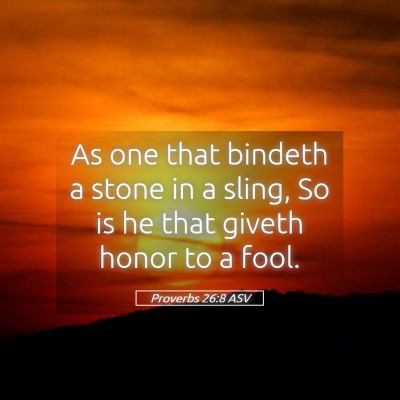 Picture 05 - Proverbs 26:8 ASV - As one that bindeth a stone in a sling, So is he - Bible Verse Picture