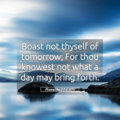Picture 05 - Proverbs 27:1 ASV - Boast not thyself of tomorrow; For thou knowest - Bible Verse Picture