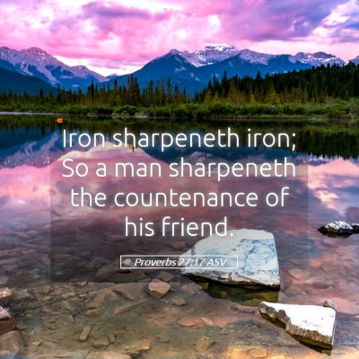 Picture 05 - Proverbs 27:17 ASV - Iron sharpeneth iron; So a man sharpeneth the - Bible Verse Picture