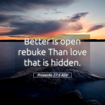 Picture 05 - Proverbs 27:5 ASV - Better is open rebuke Than love that is - Bible Verse Picture