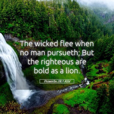 Picture 05 - Proverbs 28:1 ASV - The wicked flee when no man pursueth; But the - Bible Verse Picture