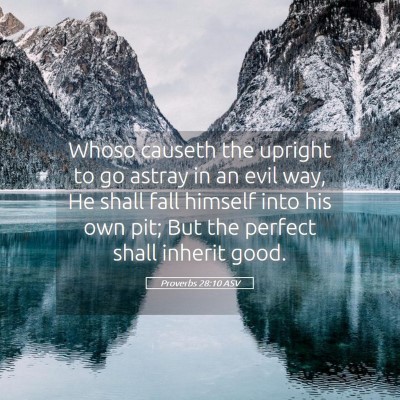 Picture 05 - Proverbs 28:10 ASV - Whoso causeth the upright to go astray in an evil - Bible Verse Picture