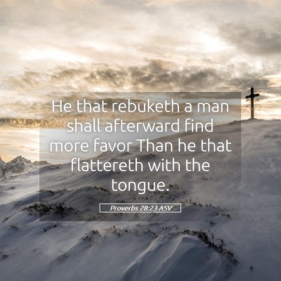 Picture 05 - Proverbs 28:23 ASV - He that rebuketh a man shall afterward find more - Bible Verse Picture