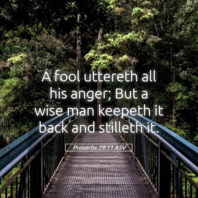 Picture 05 - Proverbs 29:11 ASV - A fool uttereth all his anger; But a wise man - Bible Verse Picture