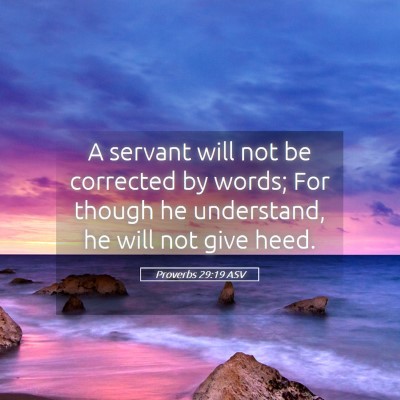 Picture 05 - Proverbs 29:19 ASV - A servant will not be corrected by words; For - Bible Verse Picture