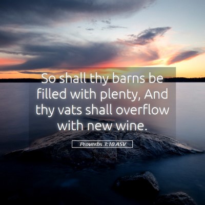 Picture 05 - Proverbs 3:10 ASV - So shall thy barns be filled with plenty, And thy - Bible Verse Picture