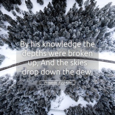Picture 05 - Proverbs 3:20 ASV - By his knowledge the depths were broken up, And - Bible Verse Picture