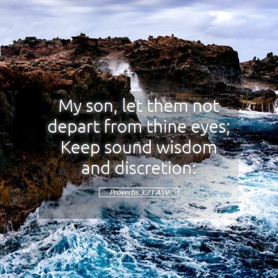 Picture 05 - Proverbs 3:21 ASV - My son, let them not depart from thine eyes; Keep - Bible Verse Picture