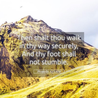 Picture 05 - Proverbs 3:23 ASV - Then shalt thou walk in thy way securely, And thy - Bible Verse Picture