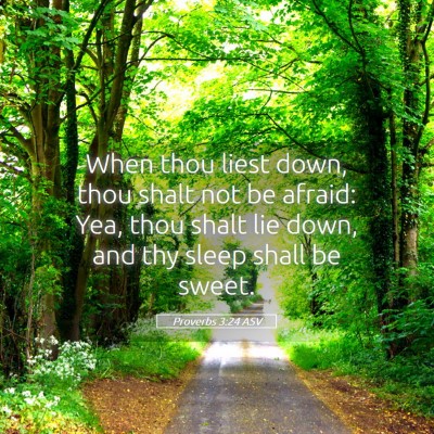 Picture 05 - Proverbs 3:24 ASV - When thou liest down, thou shalt not be afraid: - Bible Verse Picture
