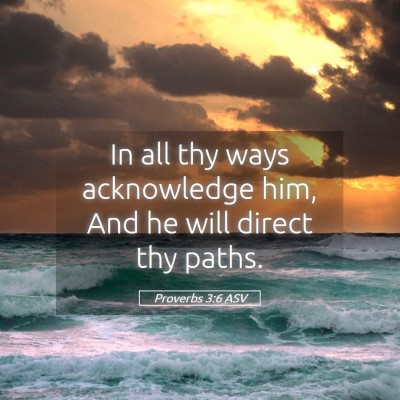 Picture 05 - Proverbs 3:6 ASV - In all thy ways acknowledge him, And he will - Bible Verse Picture