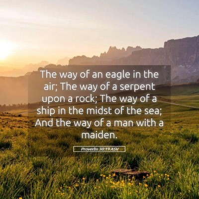 Picture 05 - Proverbs 30:19 ASV - The way of an eagle in the air; The way of a - Bible Verse Picture