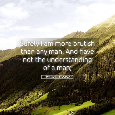 Picture 05 - Proverbs 30:2 ASV - Surely I am more brutish than any man, And have - Bible Verse Picture