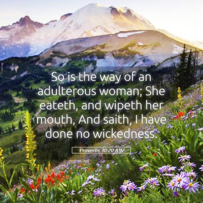 Picture 05 - Proverbs 30:20 ASV - So is the way of an adulterous woman; She eateth, - Bible Verse Picture