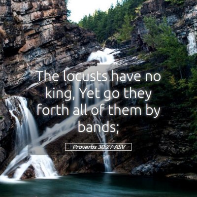 Picture 05 - Proverbs 30:27 ASV - The locusts have no king, Yet go they forth all - Bible Verse Picture
