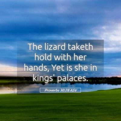 Picture 05 - Proverbs 30:28 ASV - The lizard taketh hold with her hands, Yet is she - Bible Verse Picture