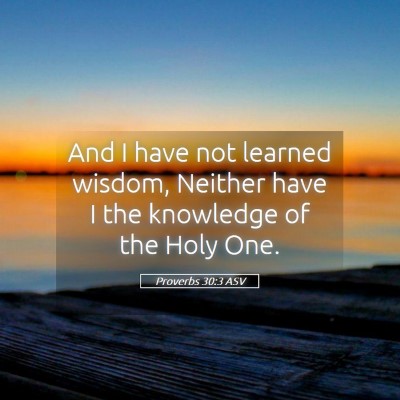 Picture 05 - Proverbs 30:3 ASV - And I have not learned wisdom, Neither have I the - Bible Verse Picture