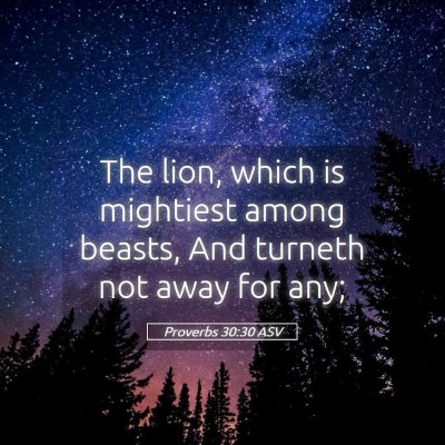 Picture 05 - Proverbs 30:30 ASV - The lion, which is mightiest among beasts, And - Bible Verse Picture