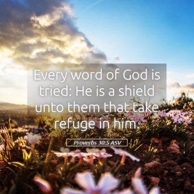 Picture 05 - Proverbs 30:5 ASV - Every word of God is tried: He is a shield unto - Bible Verse Picture