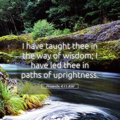 Picture 05 - Proverbs 4:11 ASV - I have taught thee in the way of wisdom; I have - Bible Verse Picture