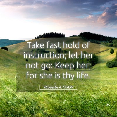 Picture 05 - Proverbs 4:13 ASV - Take fast hold of instruction; let her not go: - Bible Verse Picture