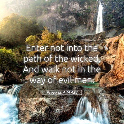Picture 05 - Proverbs 4:14 ASV - Enter not into the path of the wicked, And walk - Bible Verse Picture