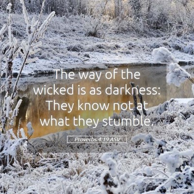 Picture 05 - Proverbs 4:19 ASV - The way of the wicked is as darkness: They know - Bible Verse Picture