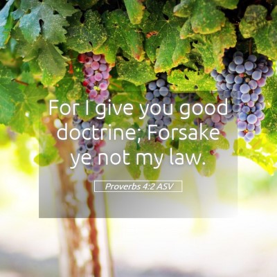 Picture 05 - Proverbs 4:2 ASV - For I give you good doctrine; Forsake ye not my - Bible Verse Picture