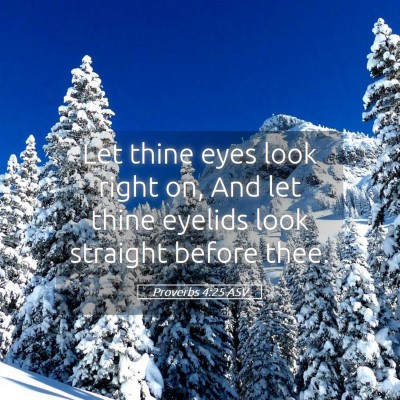 Picture 05 - Proverbs 4:25 ASV - Let thine eyes look right on, And let thine - Bible Verse Picture
