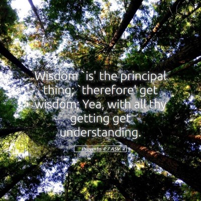 Picture 05 - Proverbs 4:7 ASV - Wisdom `is' the principal thing; `therefore' get - Bible Verse Picture