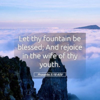 Picture 05 - Proverbs 5:18 ASV - Let thy fountain be blessed; And rejoice in the - Bible Verse Picture